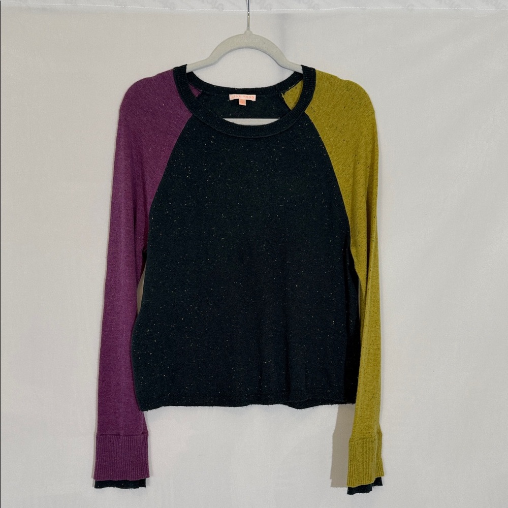 Lisa Todd Color Block Sweater Size L Blue Purple Green Lightweight Crew Neck